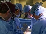 Surgeons perform the world���s first genetically modified pig kidney transplant into a living human at Massachusetts General Hospital, Saturday, March 16, 2024, in Boston, Mass.(Massachusetts General Hospital via AP/PTI)(AP03_21_2024_000288B) Surgeons perform the world���s first genetically modified pig kidney transplant into a living human at Massachusetts General Hospital, Saturday, March 16, 2024, in Boston, Mass.(Massachusetts General Hospital via AP/PTI)(AP03_21_2024_000288B)