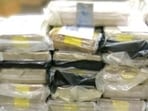 The cocaine seized at the Queenston Bridge port of entry (Photo: CBSA)