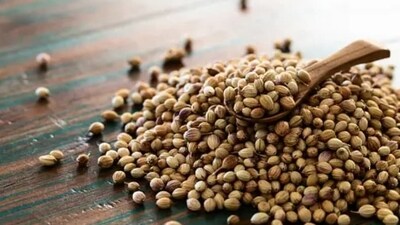 4. Coriander seeds: Dhaniya or coriander seeds contains magnesium that has a calming effect on the nervous system. (Unsplash) 4. Coriander seeds: Dhaniya or coriander seeds contains magnesium that has a calming effect on the nervous system. (Unsplash)