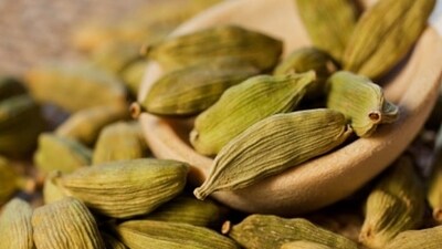 3. Cardamom: Also known as elaichi, this wonderful spice can aid in ensuring a good night's sleep for you. It induces sleep and has a pleasant aroma. It also has potential digestive benefits. (Unsplash) 3. Cardamom: Also known as elaichi, this wonderful spice can aid in ensuring a good night's sleep for you. It induces sleep and has a pleasant aroma. It also has potential digestive benefits. (Unsplash)