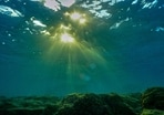 This underwater photograph shows light penetrating the water surface in the Mediterranean Sea off the coast of Batroun city This underwater photograph shows light penetrating the water surface in the Mediterranean Sea off the coast of Batroun city