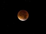 Eclipse Season 2024 will likely affect these 4 sun signs.