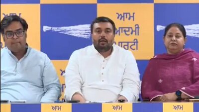 (L-R) AAP MLAs Amandeep Singh Musafir, Jagdeep Singh Goldy Kamboj, and Rajinder Pal Kaur Chhina address the media in Chandigarh on Wednesday. (Sourced) (L-R) AAP MLAs Amandeep Singh Musafir, Jagdeep Singh Goldy Kamboj, and Rajinder Pal Kaur Chhina address the media in Chandigarh on Wednesday. (Sourced)