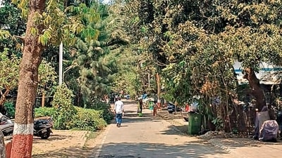 255 rly families, green cover in Matunga to be bulldozed for Dharavi redevelopment 255 rly families, green cover in Matunga to be bulldozed for Dharavi redevelopment
