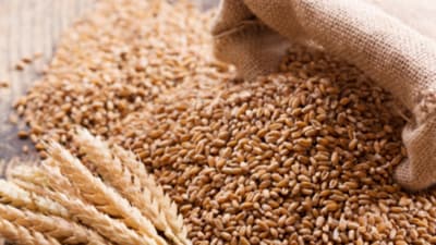Bangladesh has sought assured annual supplies of five food commodities, including rice and wheat (Representative Photo) Bangladesh has sought assured annual supplies of five food commodities, including rice and wheat (Representative Photo)