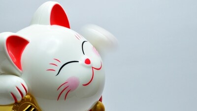 Read your weekly Chinese horoscope based on your Chinese zodiac sign. (Pexels)