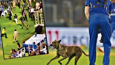 The recent IPL match of Gujarat Titans vs Mumbai Indians in Ahmedabad saw a dog enter the stadium accidently. (Inset) A grab from the video shows field staff and security personnel chasing down the dog. (Photo: PTI and X) The recent IPL match of Gujarat Titans vs Mumbai Indians in Ahmedabad saw a dog enter the stadium accidently. (Inset) A grab from the video shows field staff and security personnel chasing down the dog. (Photo: PTI and X)