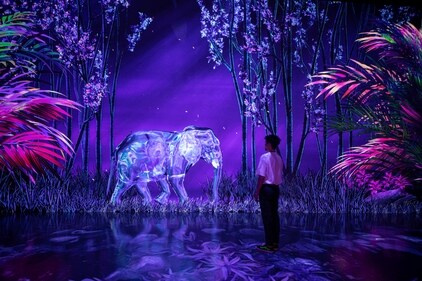 The Arte Museum not only delivers a vivid visual journey but also engages all senses The Arte Museum not only delivers a vivid visual journey but also engages all senses
