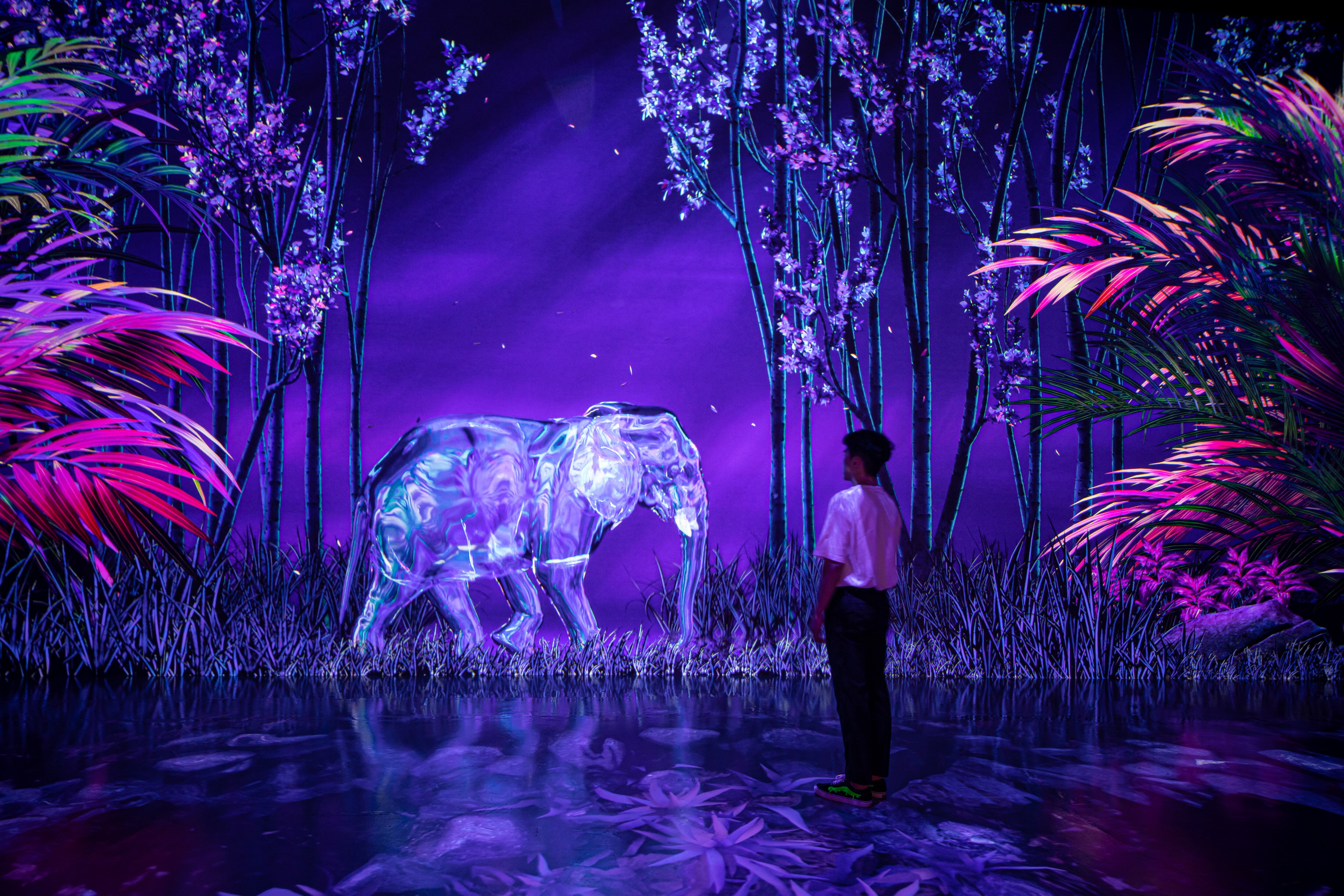 The Arte Museum not only offers a vibrant visual journey but also engages all the senses