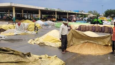 A special CBI court in Mohali on Wednesday sent three Food Corporation of India (FCI) officials from Bathinda and a mill owner to three years’ rigorous imprisonment and  ₹1 lakh fine each for accepting and supplying poor quality rice. (Representational photo)