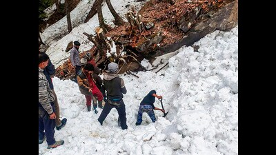 Rescue personnel dig out a man buried in the snow after an avalanche hit the Kalu drain adjacent to Jagatsukh in Manali on Thursday. (PTI)