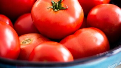 Though initially released on administrative bail after being charged for writing a review on tomato puree, the pregnant entrepreneur was again arrested after a few months. (Unsplash/omeganova) Though initially released on administrative bail after being charged for writing a review on tomato puree, the pregnant entrepreneur was again arrested after a few months. (Unsplash/omeganova)
