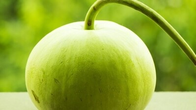 10. Ash gourd juice: Another summer special vegetable, ash gourd juice is rich in water, electrolytes, and vitamins such as vitamin C and vitamin B6. (Unsplash) 10. Ash gourd juice: Another summer special vegetable, ash gourd juice is rich in water, electrolytes, and vitamins such as vitamin C and vitamin B6. (Unsplash)