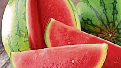 3. Watermelon: If there is any summer superfruit that can provide instant relief from the intolerable summer heat, it has to be watermelon. It is rich in water, electrolytes, and vitamins such as vitamin A, vitamin C, and vitamin B6, and provides your body with all the required nutrients. (Getty Images/iStockphoto) 3. Watermelon: If there is any summer superfruit that can provide instant relief from the intolerable summer heat, it has to be watermelon. It is rich in water, electrolytes, and vitamins such as vitamin A, vitamin C, and vitamin B6, and provides your body with all the required nutrients. (Getty Images/iStockphoto)