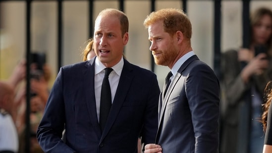 Prince William is not interested to see Prince Harry after Kate's cancer diagnosis, wants to avoid "drama," his friends say (AP Photo/Martin Meissner, File) (AP)