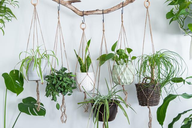 Ceramic pots and metal planters are durable, easy to clean, and look totally chic. (Shutterstock) Ceramic pots and metal planters are durable, easy to clean, and look totally chic. (Shutterstock)