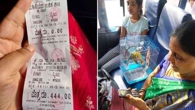 The image shows the parrots in a cage and the ticket issued on a KSRTC bus from Bengaluru To Mysore. (X/@TeluguScribe) The image shows the parrots in a cage and the ticket issued on a KSRTC bus from Bengaluru To Mysore. (X/@TeluguScribe)