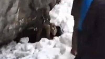 Kashmir on Friday witnessed widespread rains for the second day; many areas in the higher reaches also received light snowfall. (X/Screengrab) Kashmir on Friday witnessed widespread rains for the second day; many areas in the higher reaches also received light snowfall. (X/Screengrab)