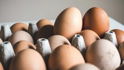 Those fighting illness: Zinc supports immune function, crucial when battling sickness. Load up on zinc-rich foods like poultry, eggs, and beans. (Unsplash/@foodiesfeed) Those fighting illness: Zinc supports immune function, crucial when battling sickness. Load up on zinc-rich foods like poultry, eggs, and beans. (Unsplash/@foodiesfeed)