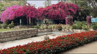 Delhi’s maximum temperature was 35.2°C on Saturday. (ANI) Delhi’s maximum temperature was 35.2°C on Saturday. (ANI)