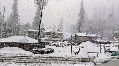 Solang Nala after fresh snowfall on Saturday. (Aqil Khan/HT)