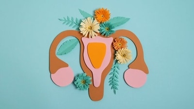 Consumption of Curcumin for at least three months can demonstrate weight loss in women with PCOS. It also helps in reducing inflammation and improving insulin sensitivity. (Freepik) Consumption of Curcumin for at least three months can demonstrate weight loss in women with PCOS. It also helps in reducing inflammation and improving insulin sensitivity. (Freepik)