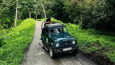 Kaziranga National Park, Assam: Embark on a wildlife safari in Kaziranga National Park to witness the majestic one-horned rhinoceros and a diverse array of wildlife against the backdrop of lush greenery and blooming flora in April. (Unsplash) Kaziranga National Park, Assam: Embark on a wildlife safari in Kaziranga National Park to witness the majestic one-horned rhinoceros and a diverse array of wildlife against the backdrop of lush greenery and blooming flora in April. (Unsplash)