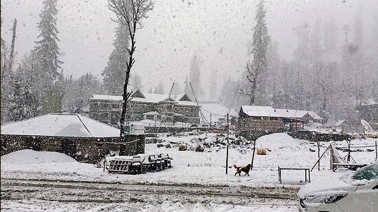 Solang Nala after fresh snowfall on Saturday. (Aqil Khan/HT)