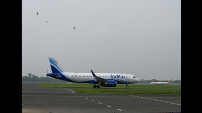 Now, Star Air Company has resumed the Kolhapur to Tirupati flight service, much to the passengers’ delight. (REPRESENTATIVE PIC) Now, Star Air Company has resumed the Kolhapur to Tirupati flight service, much to the passengers’ delight. (REPRESENTATIVE PIC)