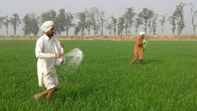 The PMFBY is the country’s main subsidized crop insurance scheme, where farmers pay between 1.5% and 2% of the premiums depending on crop cycles (HT) The PMFBY is the country’s main subsidized crop insurance scheme, where farmers pay between 1.5% and 2% of the premiums depending on crop cycles (HT)