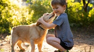Whether anti-aging supplements for dogs work or not, there’s likely to be demand, said Arthur Caplan, a professor of ethics at New York University. (Freepik) Whether anti-aging supplements for dogs work or not, there’s likely to be demand, said Arthur Caplan, a professor of ethics at New York University. (Freepik)