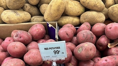 CHICAGO, ILLINOIS - FEBRUARY 13: Potatoes are offered for sale at a grocery store on February 13, 2024 in Chicago, Illinois. (Getty Images via AFP) CHICAGO, ILLINOIS - FEBRUARY 13: Potatoes are offered for sale at a grocery store on February 13, 2024 in Chicago, Illinois. (Getty Images via AFP)