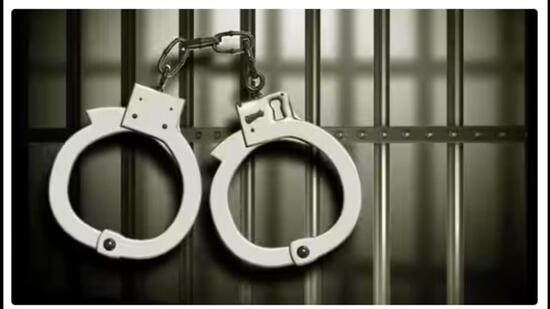an FIR under section 429 of the IPC and Section 11 of Prevention of Cruelty to Animals Act has been lodged against the accused at City Raikot police station. (Stock photo)