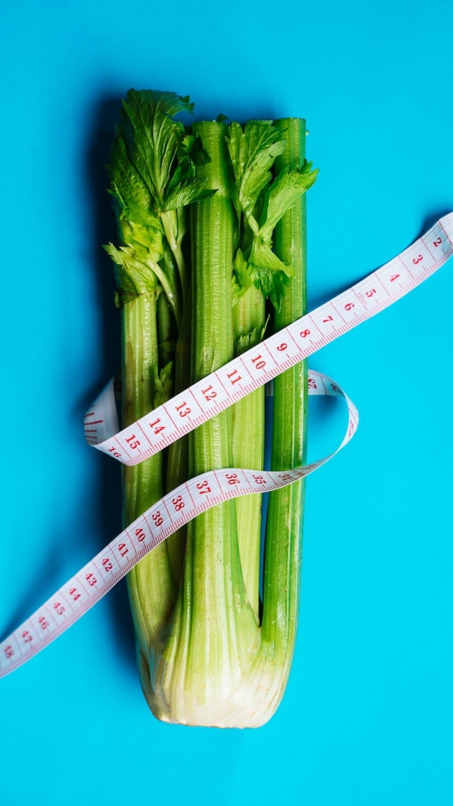 celery1