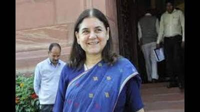 Maneka Gandhi thanked PM Narendra Modi, Union home minister Amit Shah and BJP chief JP Nadda for renominating her as the candidate from Sultanpur seat in the 2024 Lok Sabha polls. (HT file) Maneka Gandhi thanked PM Narendra Modi, Union home minister Amit Shah and BJP chief JP Nadda for renominating her as the candidate from Sultanpur seat in the 2024 Lok Sabha polls. (HT file)