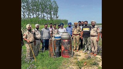 Police destroyed the seized lahan in Ludhiana on Monday. (HT Photo)