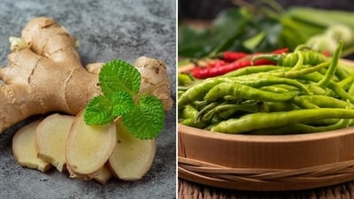 Ayurveda doctor Dr Zeel Gandhi in an interview with HT Digital shares a list of spices that must be consumed with caution during summer months: (Freepik) Ayurveda doctor Dr Zeel Gandhi in an interview with HT Digital shares a list of spices that must be consumed with caution during summer months: (Freepik)