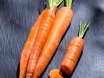 Every year, International Carrot Day is observed on April 4.(Unsplash)