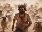 Prithviraj Sukumaran in a still from Aadujeevitham The Goat Life box.