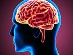 The study noted that exposure to environmental chemicals can hinder neurodevelopment.