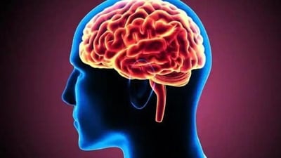 The study noted that exposure to environmental chemicals can hinder neurodevelopment. The study noted that exposure to environmental chemicals can hinder neurodevelopment.
