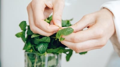 Steaming with mint leaves: Do steam inhalation with mint leaves soaked in hot water. Mint's cooling properties help reduce body temperature and relieve congestion associated with fever. (ROMAN ODINTSOV) Steaming with mint leaves: Do steam inhalation with mint leaves soaked in hot water. Mint's cooling properties help reduce body temperature and relieve congestion associated with fever. (ROMAN ODINTSOV)