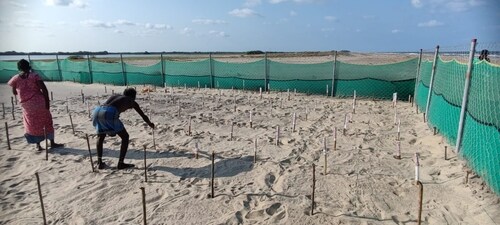 Climate Resilient Turtle Hatchery ( Tamil Nadu Forest Department) Climate Resilient Turtle Hatchery ( Tamil Nadu Forest Department)
