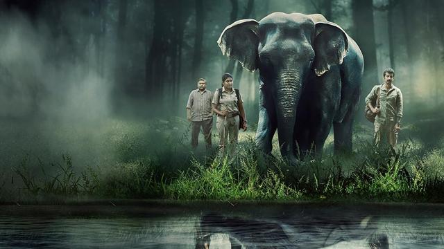 A publicity still for Poacher (Prime Video) A publicity still for Poacher (Prime Video)