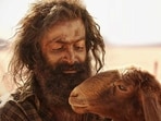 Aadujeevitham The Goat Life box office collection day 6: Prithviraj Sukumaran in a still from the survival drama.