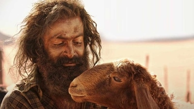 Aadujeevitham The Goat Life box office collection day 6: Prithviraj Sukumaran in a still from the survival drama. Aadujeevitham The Goat Life box office collection day 6: Prithviraj Sukumaran in a still from the survival drama.