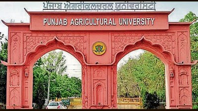 PAU V-C held meeting with varsity scientists in Ludhiana on Wednesday. (HT File Photo)