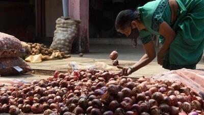 The export ban imposed in December 2023 came on the back of a domestic supply crunch. (HT PHOTO) The export ban imposed in December 2023 came on the back of a domestic supply crunch. (HT PHOTO)