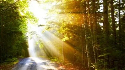 Exposure to light helps the brain with alertness cues- which further helps in regulating the sleep wake cycle of the body. This helps us to sleep better. (Unsplash) Exposure to light helps the brain with alertness cues- which further helps in regulating the sleep wake cycle of the body. This helps us to sleep better. (Unsplash)