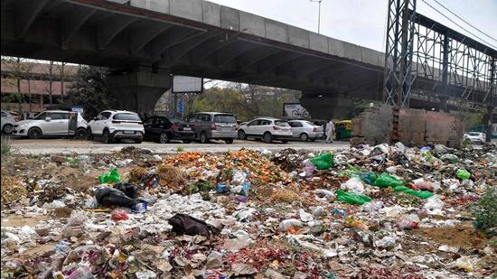 Heaps of garbage on the road in front of the district court complex in Ludhiana. (Manish/HT)